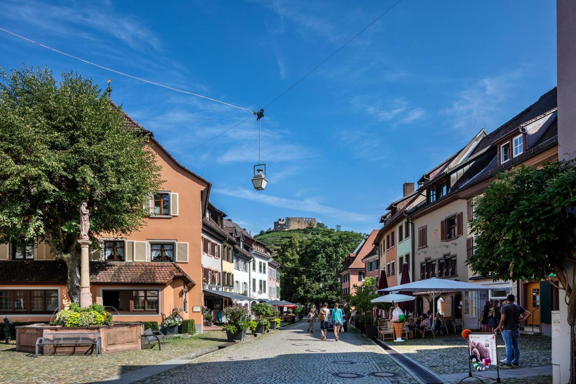 Ferienwohnung Am Neumagen Staufen im Breisgau Ngoại thất bức ảnh